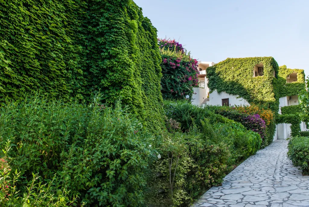 Sunshine Vacation Club Corfu, Nisaki, Grčka — fotografija 28