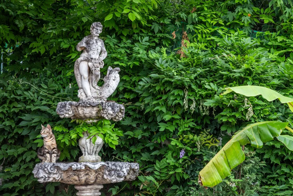 Victoria Hill Hotel, Dasija (Dassia), Grčka — fotografija 14