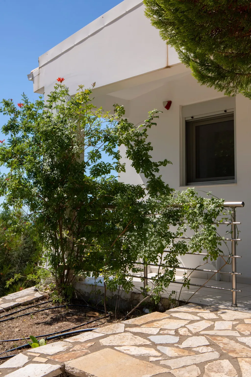 Dream View Villas Lefkada, Sivota – ostrvo Lefkada, Grčka — fotografija 5