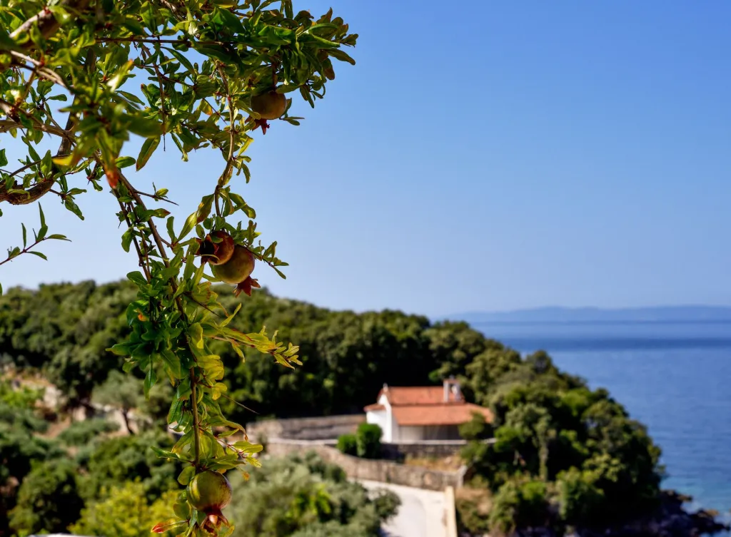 Prima Vista Beachfront Boutique Hotel, Agia Paraskevi – Sivota, Grčka — fotografija 33