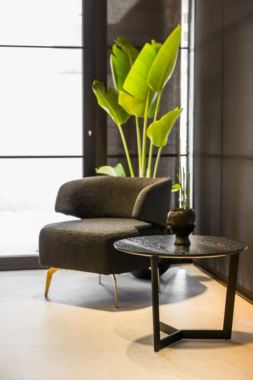 Canale Hotel & Suites, Argostoli, Grčka — fotografija 5