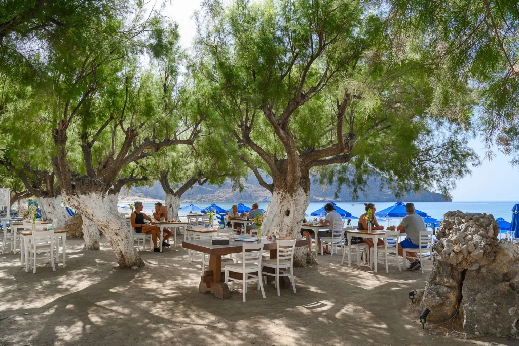 Alianthos Beach Hotel Plakias, Rethymno, Grčka — fotografija 25