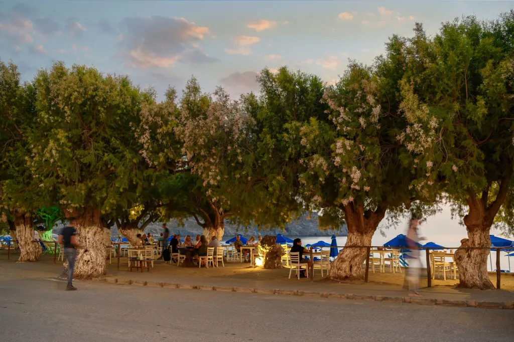 Alianthos Beach Hotel Plakias, Rethymno, Grčka — fotografija 39