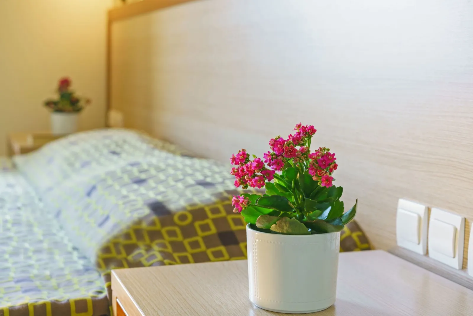Alianthos Beach Hotel Plakias, Rethymno, Grčka — Standard Double Room