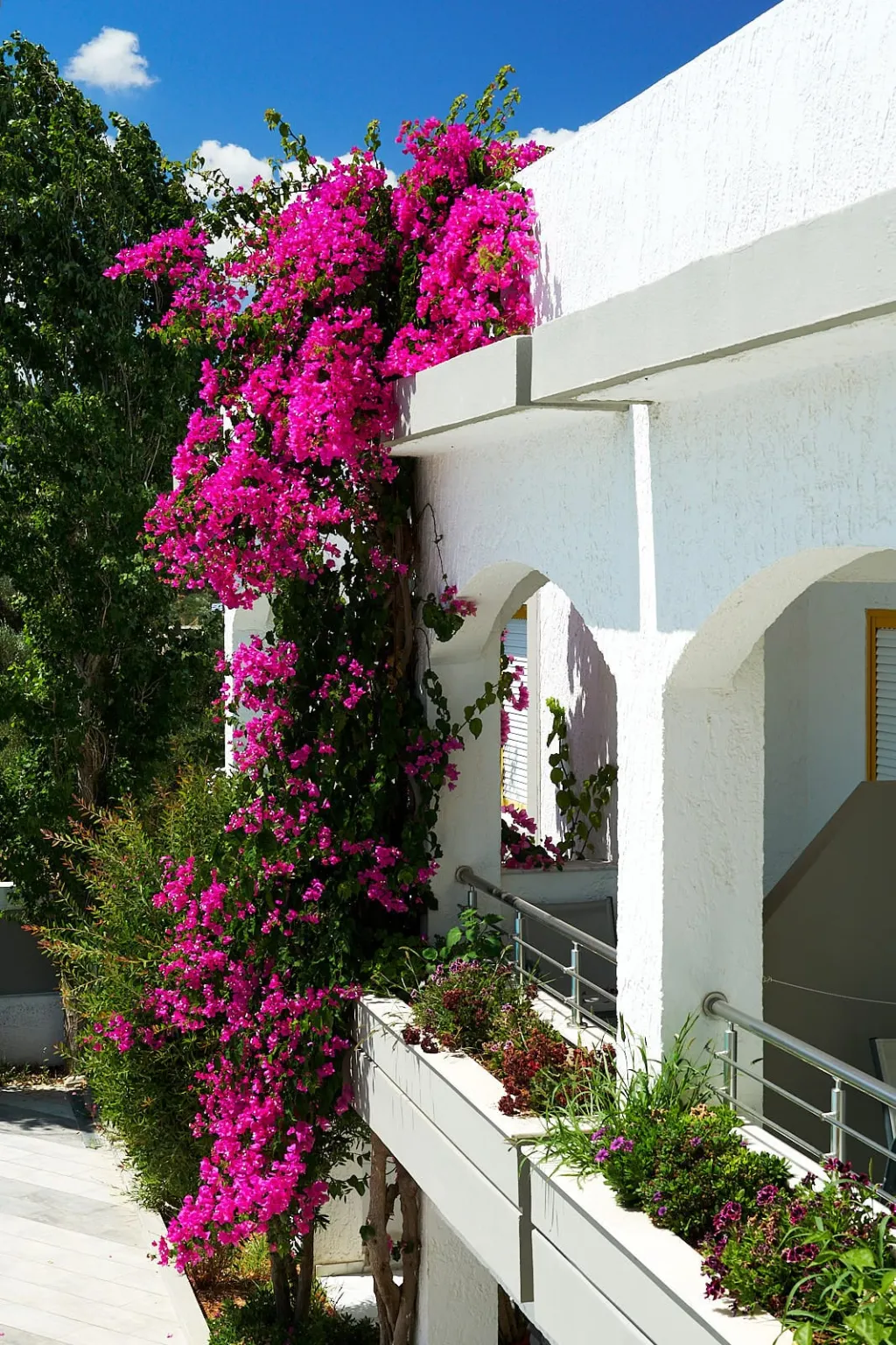 Apollon Hotel Apartments Rethymno, Rethymno, Grčka — fotografija 24