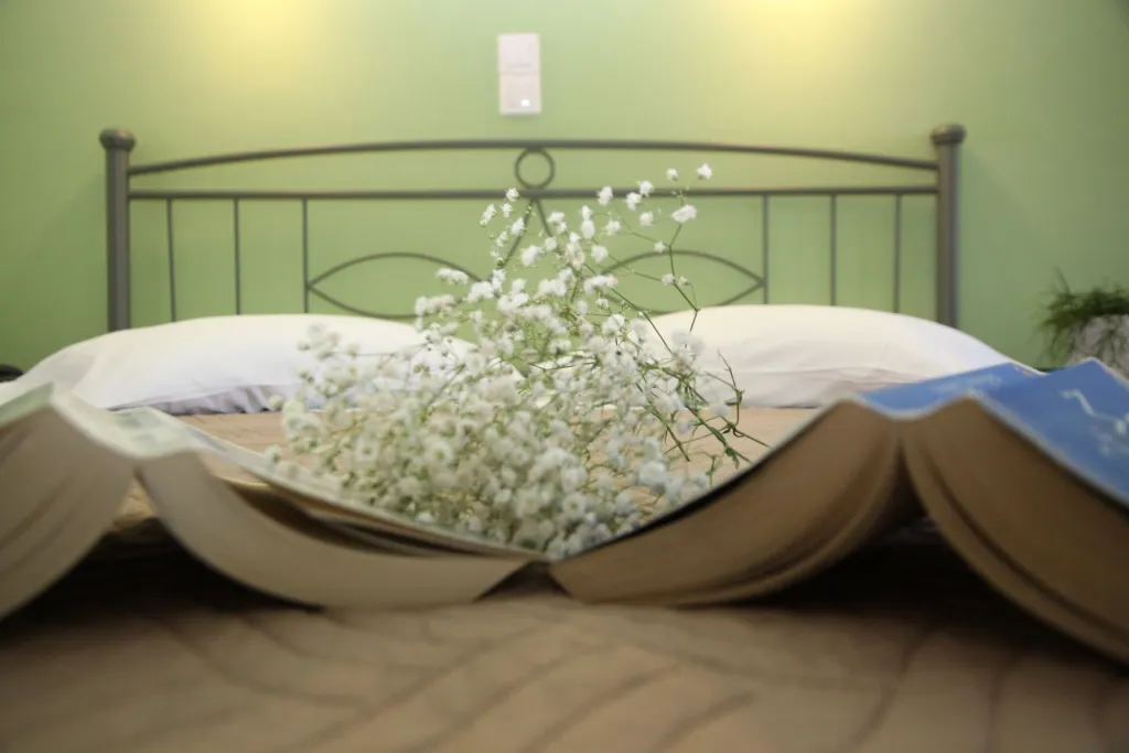 Apollon Hotel Apartments Rethymno, Rethymno, Grčka — fotografija 26