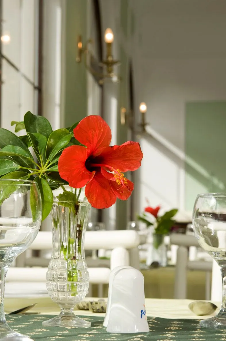 Axos Hotel Rethymno, Rethymno, Grčka — fotografija 10