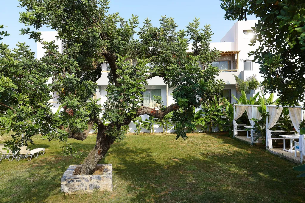 Bali Star Hotel, Bali, Grčka — fotografija 17