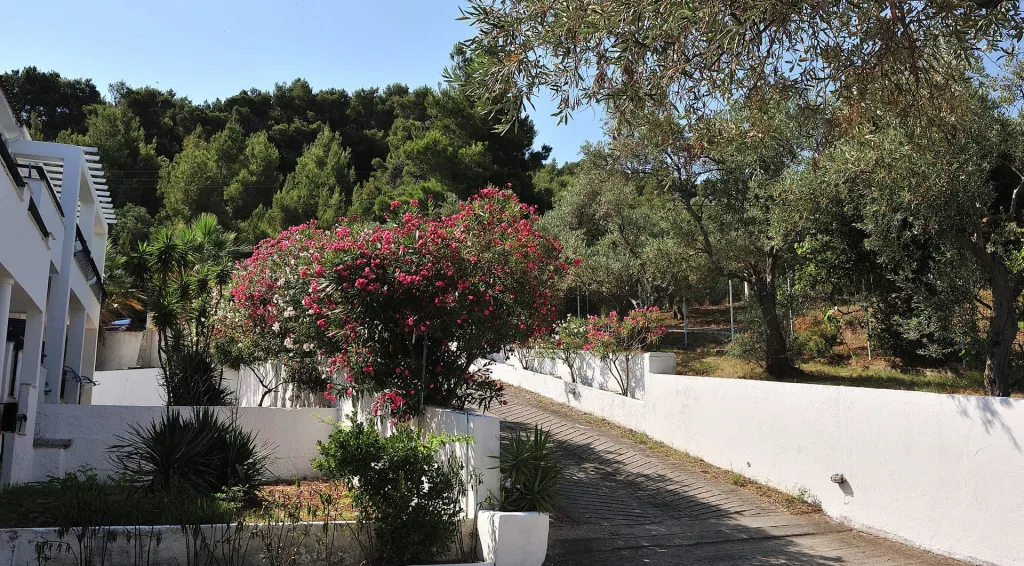 Anamar Skiathos Hotel, Pounda – Agios Georgios, Grčka — fotografija 13