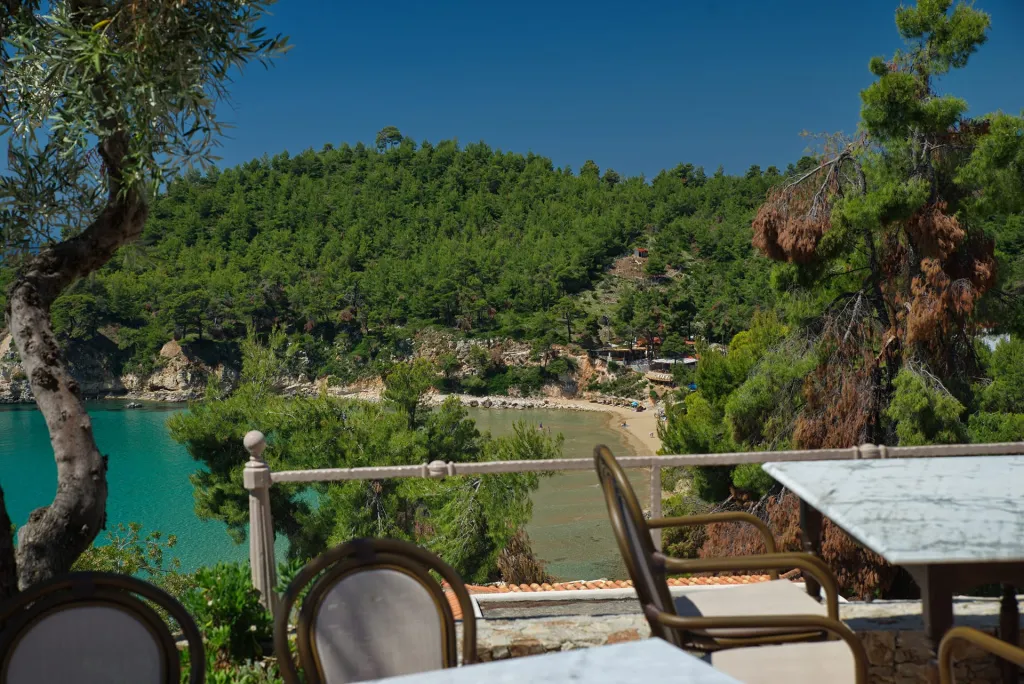 Alonissos Beach Bungalows & Suites Hotel, Milia, Grčka — fotografija 13