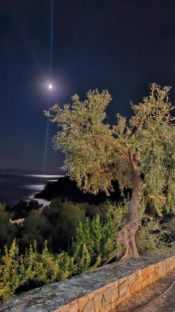Alonissos Beach Bungalows & Suites Hotel, Milia, Grčka — fotografija 17
