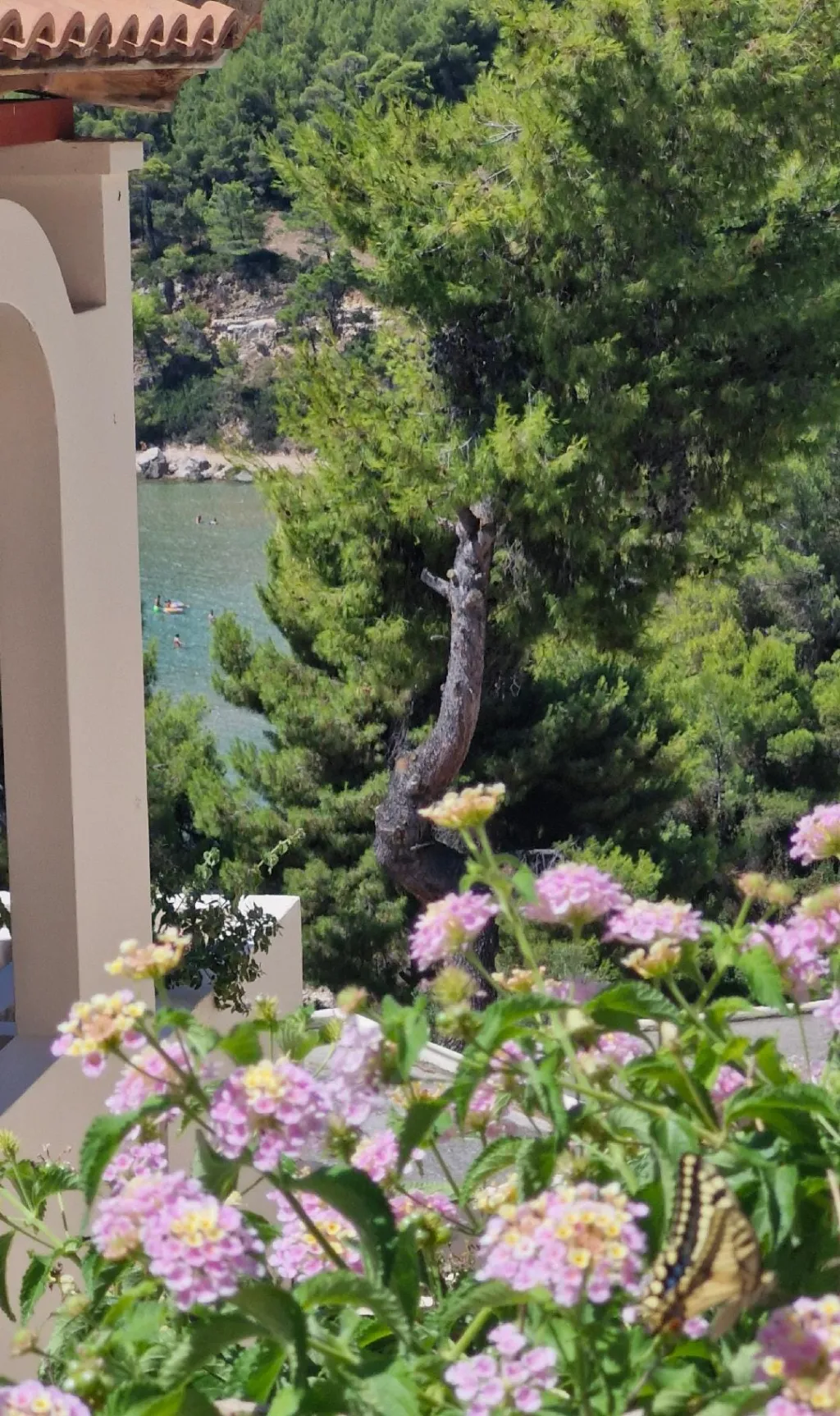 Alonissos Beach Bungalows & Suites Hotel, Milia, Grčka — fotografija 20