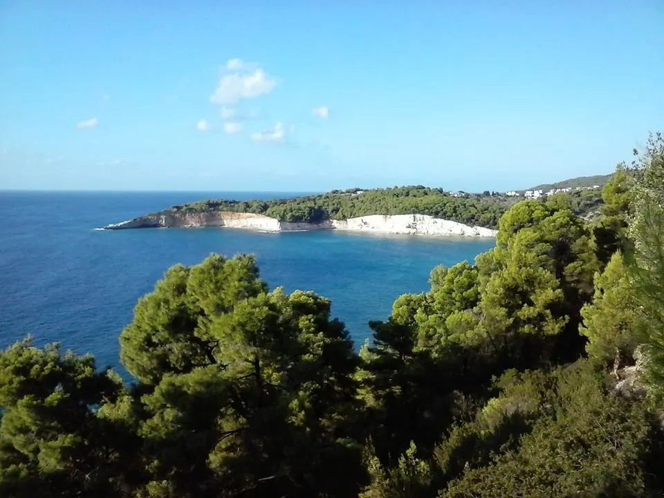 Milia Bay Hotel & Apartments Alonissos, Milia, Grčka — fotografija 14