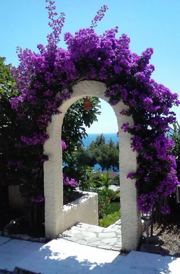Milia Bay Hotel & Apartments Alonissos, Milia, Grčka — fotografija 16