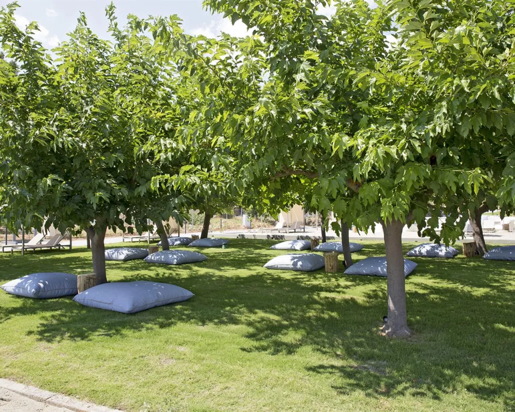 Zeus Eretria Hotel & Spa Resort, Eretria, Grčka — spa i wellness