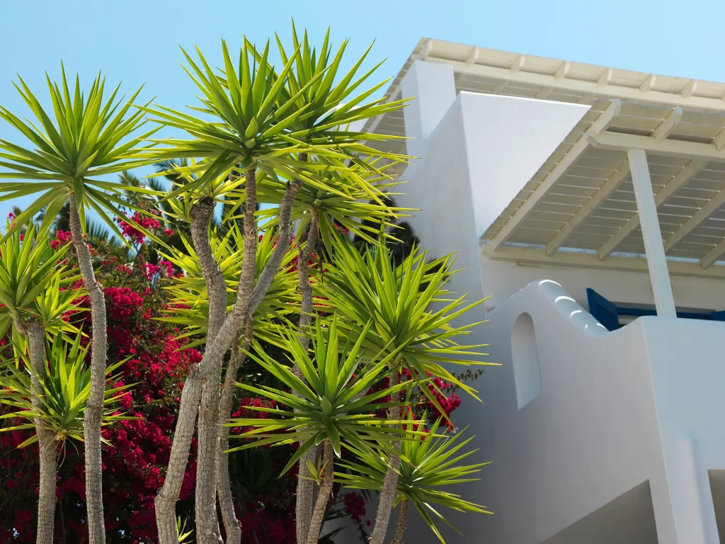 Aloni Hotel Paros, Drios, Grčka — fotografija 53