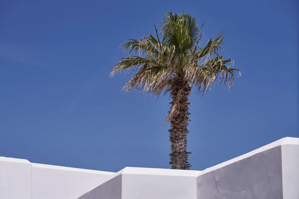 Andronis Minois Paros, Punda, Grčka — fotografija 31