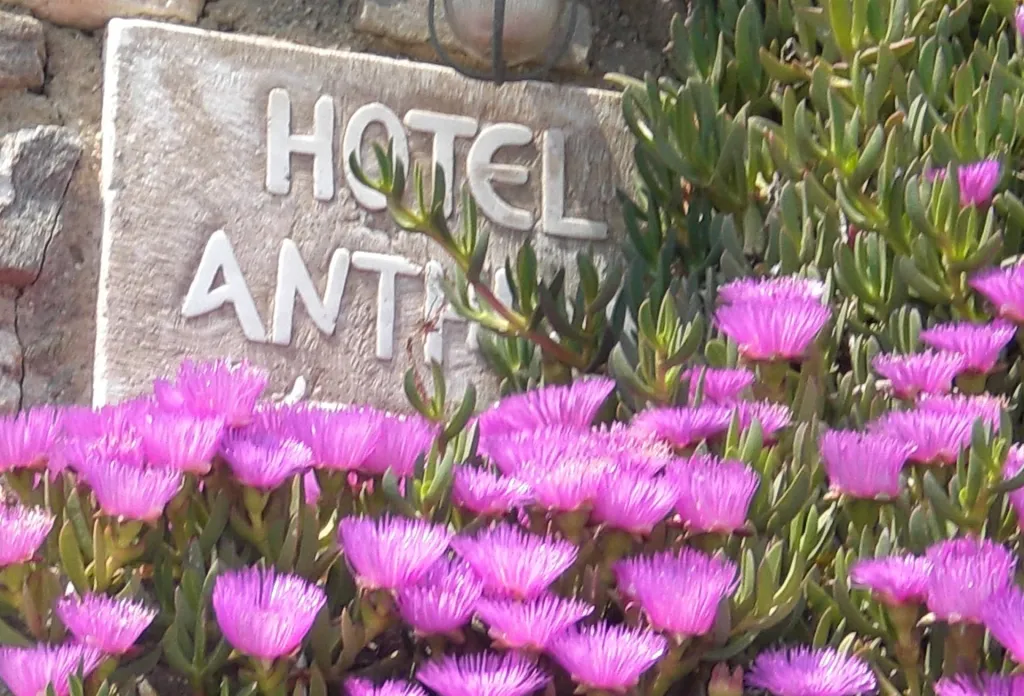 Anthippi, Grčka — fotografija 1