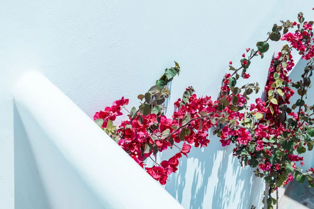 Bohemian Luxury Boutique Hotel Paros, Nausa, Grčka — fotografija 18
