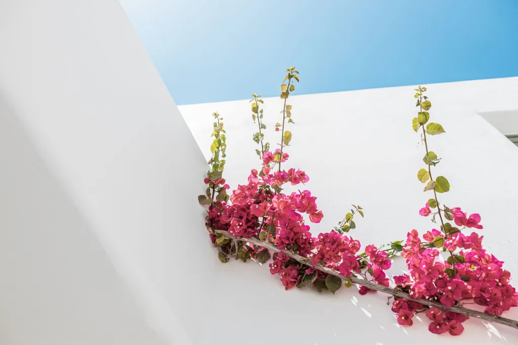 Bohemian Luxury Boutique Hotel Paros, Nausa, Grčka — fotografija 25