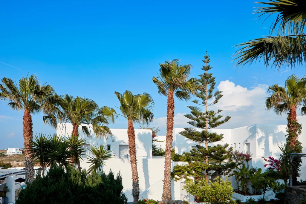Mr and Mrs White Paros, Nausa, Grčka — fotografija 22