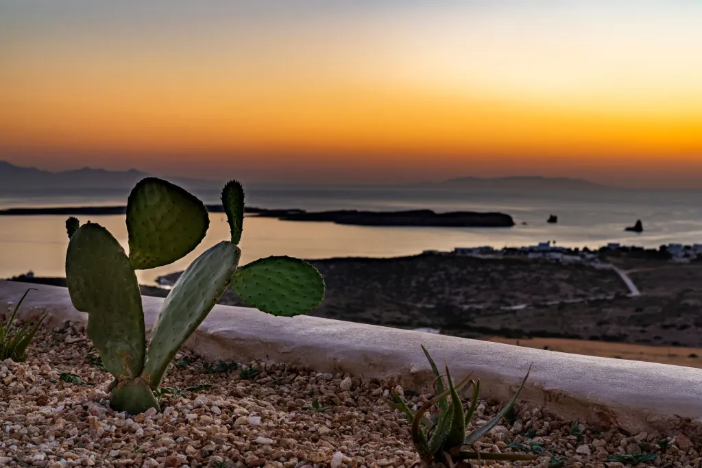 Mythic Paros, Adults - Only, Punda, Grčka — fotografija 56