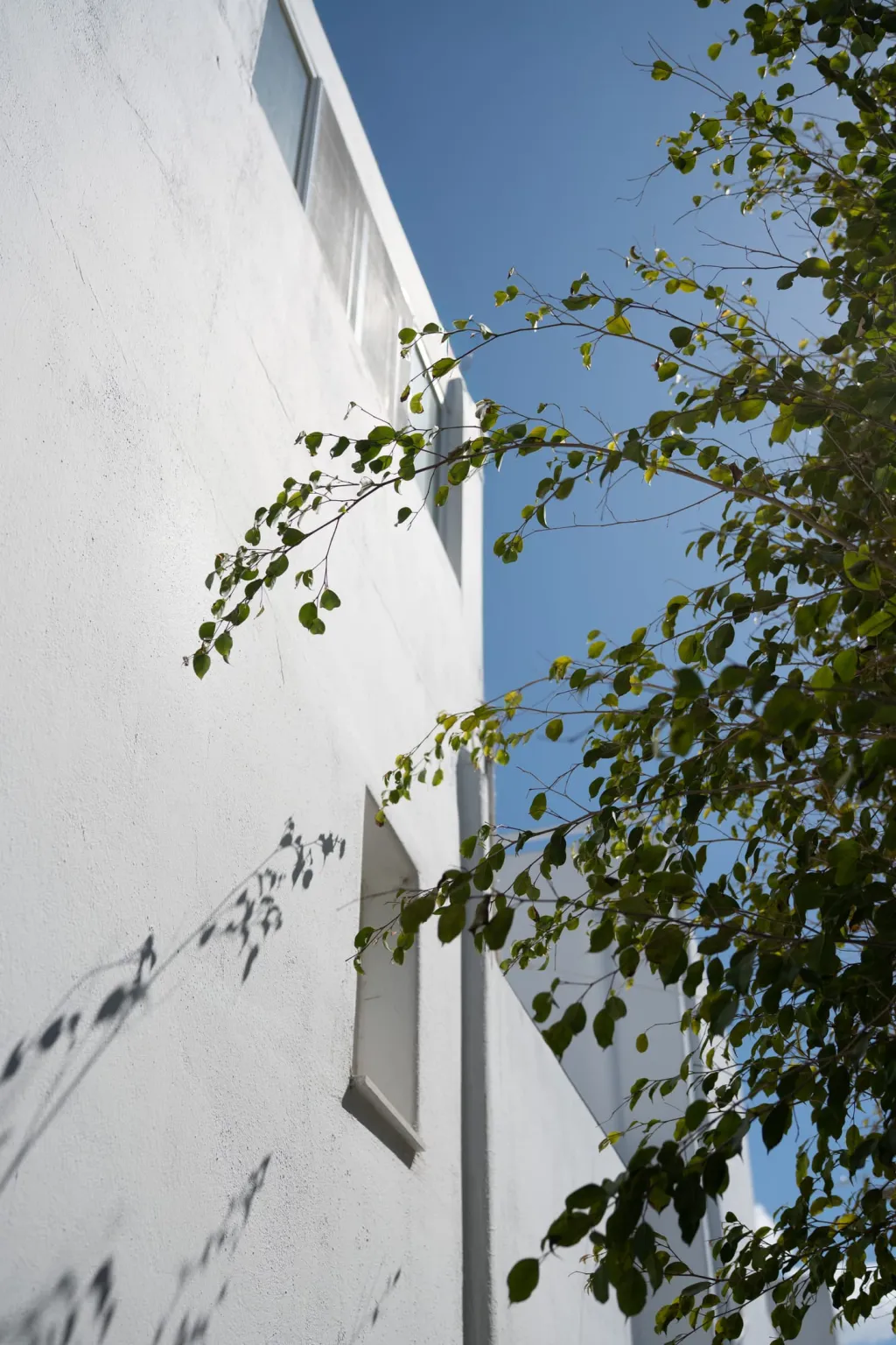Paridian Living, Grčka — fotografija 23