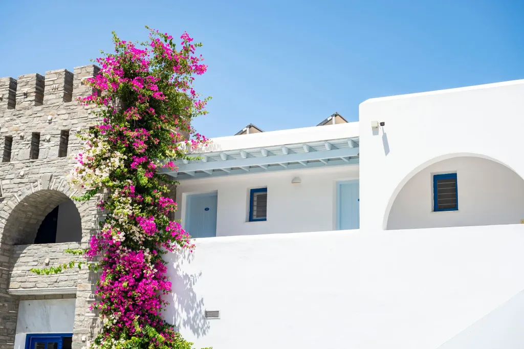 Pyrgaki Hotel Paros, Grčka — fotografija 1
