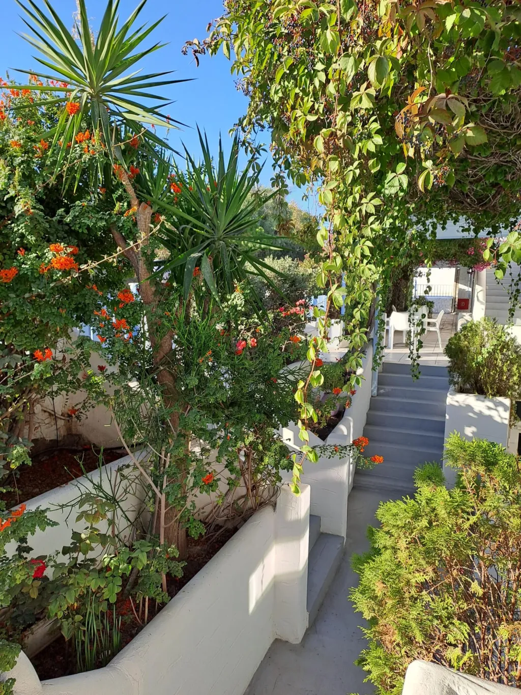 Stratos Apartments & Studios, Grčka — fotografija 27
