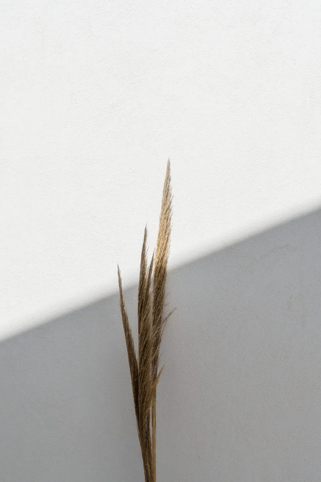 Poema Antiparos, Grčka — fotografija 12
