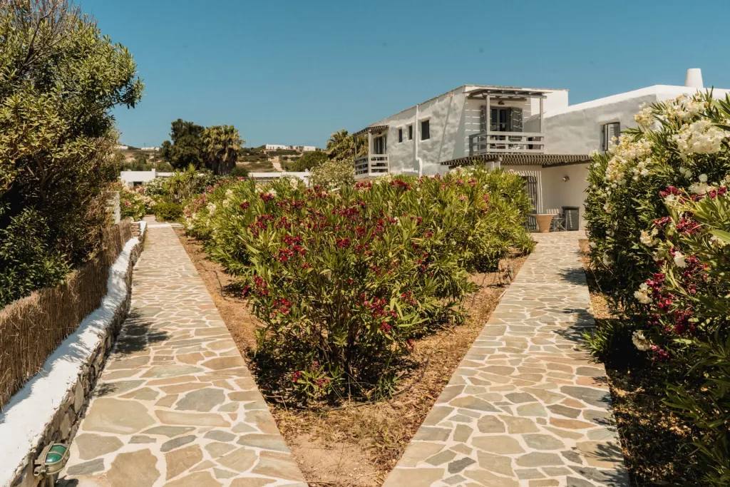 Soros Beach Antiparos, Soros Beah, Grčka — fotografija 17