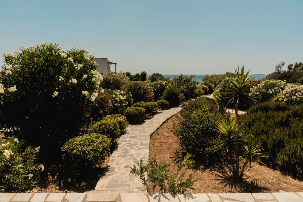 Soros Beach Antiparos, Soros Beah, Grčka — fotografija 19