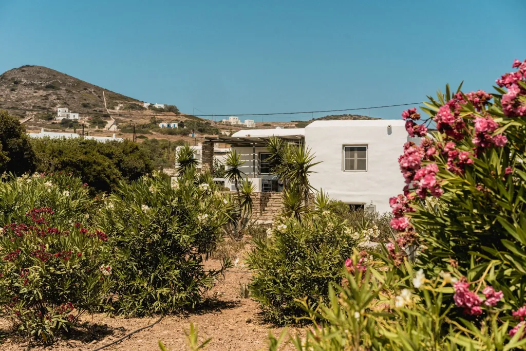 Soros Beach Antiparos, Soros Beah, Grčka — fotografija 20