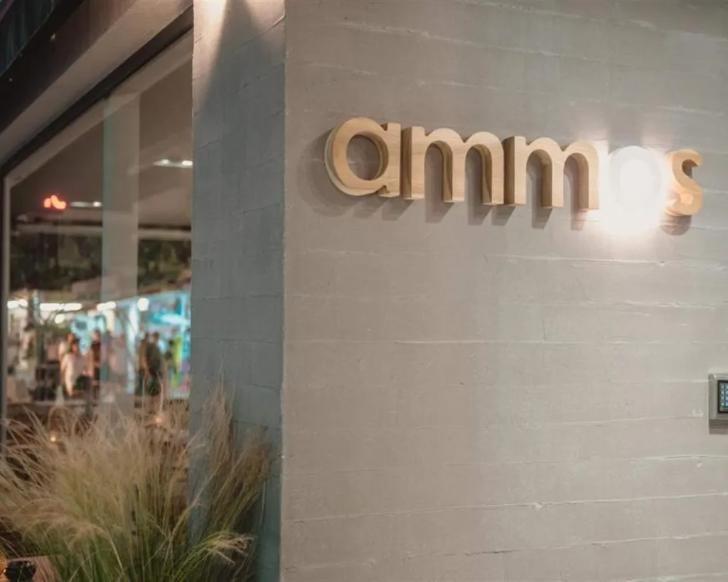 Ammos Beach Seaside Luxury Suites, Olimpik Bič, Grčka — plaža