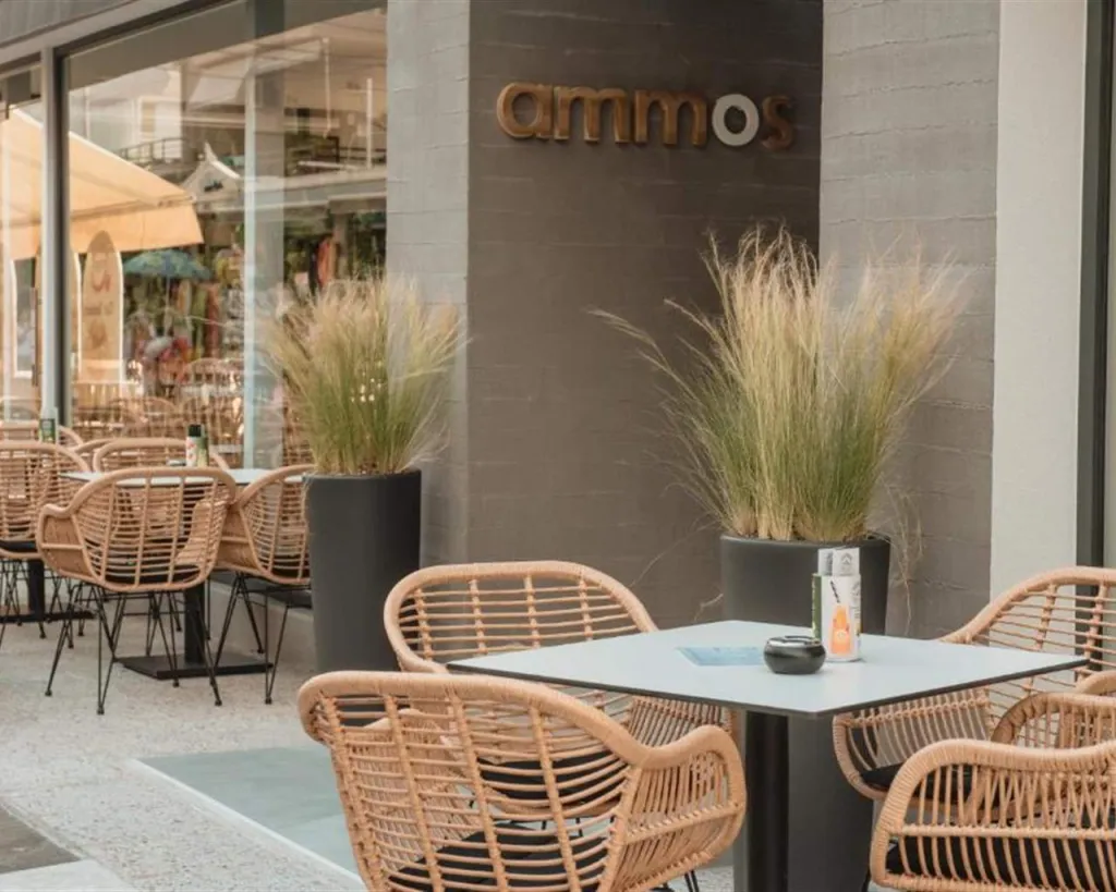 Ammos Beach Seaside Luxury Suites, Olimpik Bič, Grčka — plaža