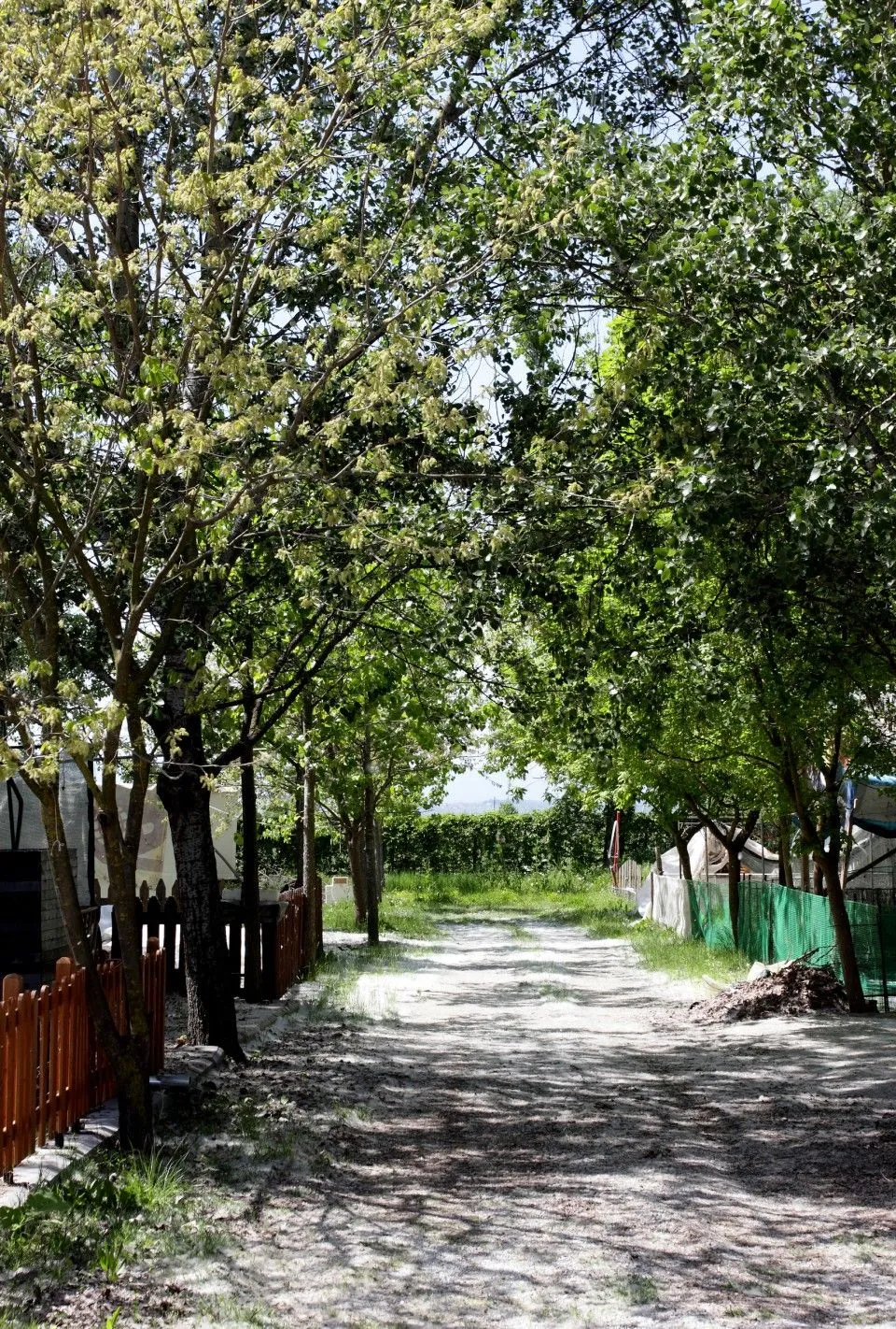 Camping Odysseia & Bungalows, Plaža Korinos, Grčka — fotografija 10