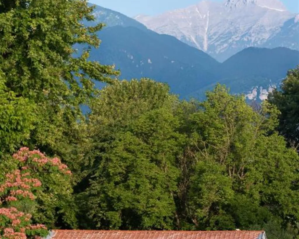 Olympios Zeus Hotel & BungalowsBy Anayia All-Inclusive Resorts, Plaka Litohoro, Grčka — fotografija 4
