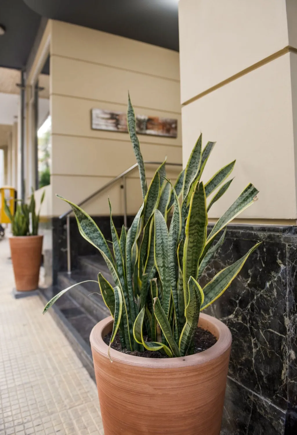 Acropolis Select Hotel Athens, Acropolis, Grčka — fotografija 50