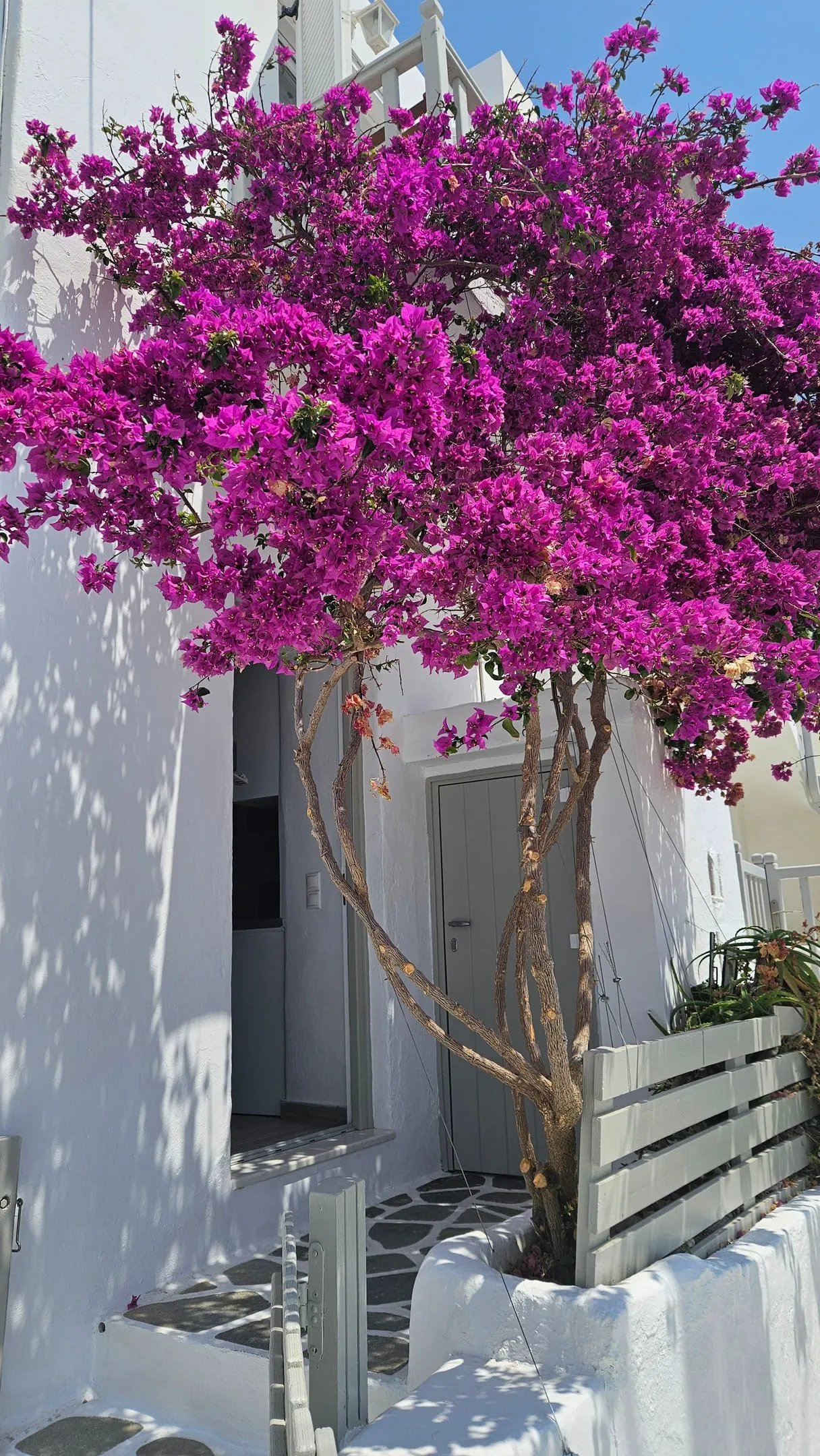 Eleanna's Mykonos, Petinaros, Grčka — Seaview Apartment