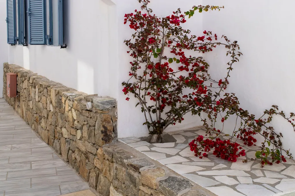 Giannoulaki Hotel, Ornos, Grčka — fotografija 41