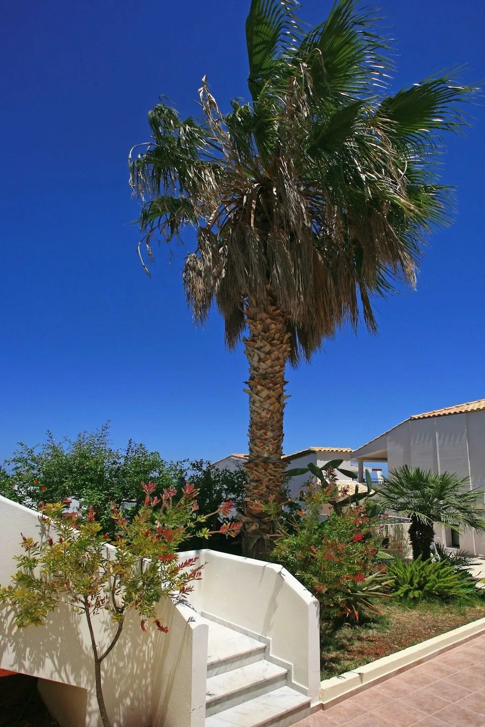 Katrin Suites, Malia, Grčka — fotografija 10