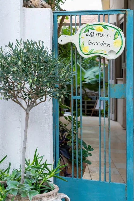 Lemon Garden Residence, Iraklion, Grčka — fotografija 38