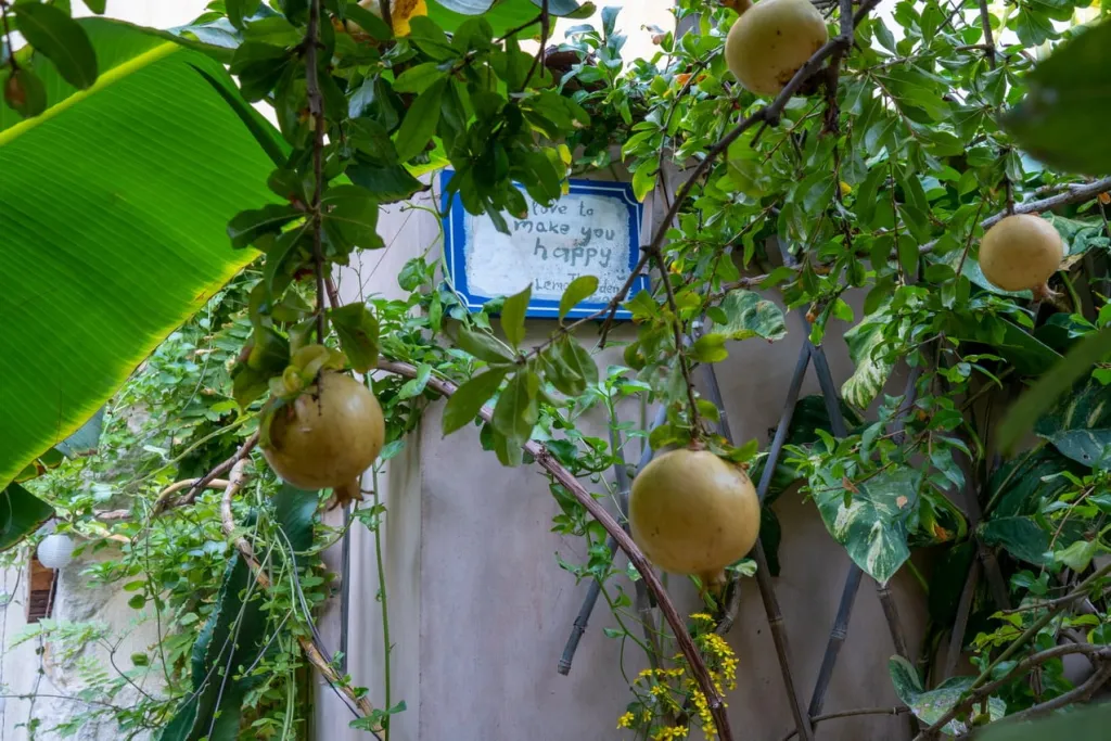 Lemon Garden Residence, Iraklion, Grčka — fotografija 41