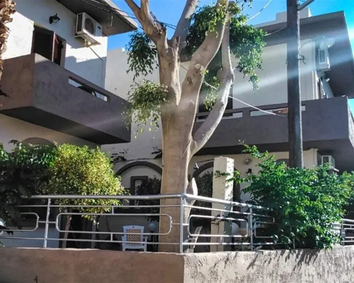 Fotoula Studios, Ligaria