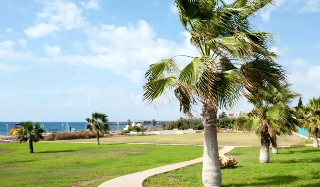 NELIA SEA BREEZE