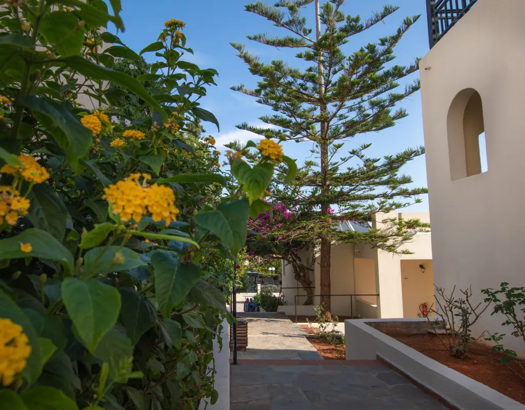 Anastasia Hotel, Malia, Grčka — fotografija 10