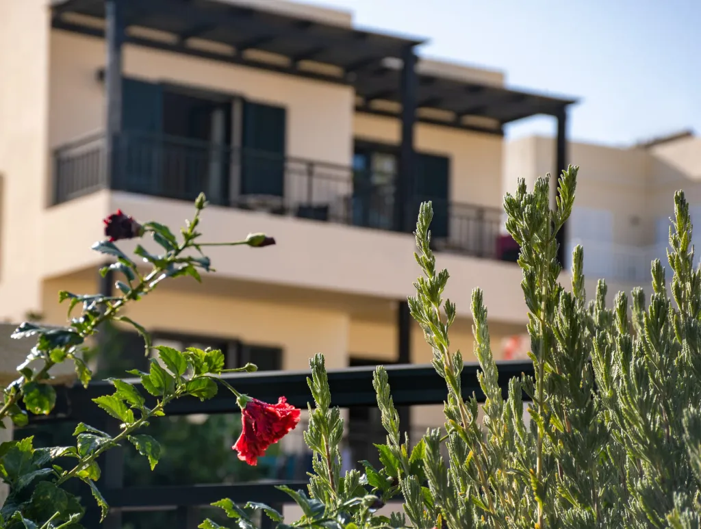 Anastasia Hotel, Malia, Grčka — fotografija 12