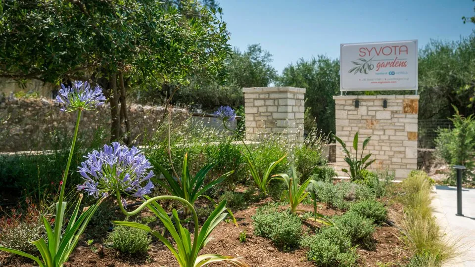 Syvota Gardens, Sivota, Grčka — fotografija 504