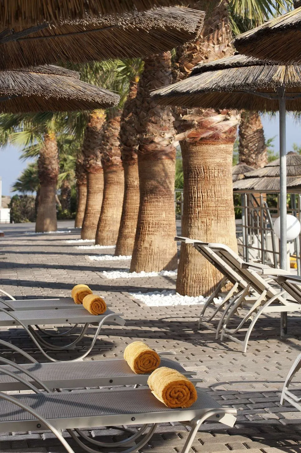 Blue Bay Resort Hotel, Ligaria, Grčka — fotografija 49