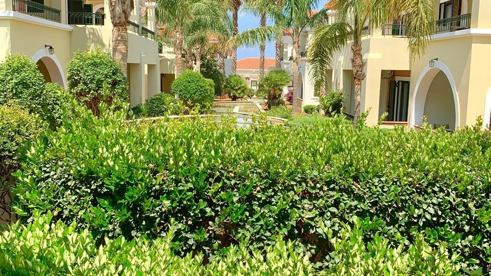The Oasis, Kalo Nero, Grčka — fotografija 509